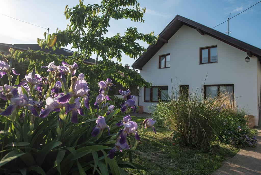 Apartments Osijek By The River Exterior foto